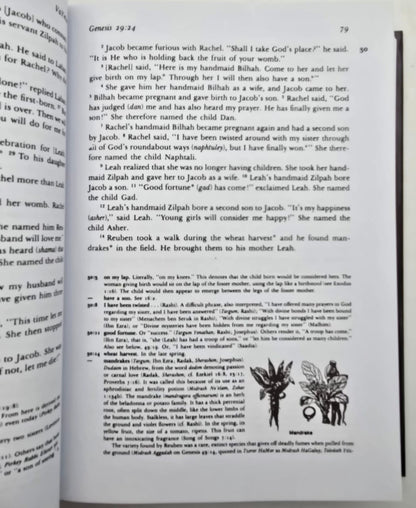 The Living Torah / Rabbi Aryeh Kaplan -  ליוינג תורה אנגלית