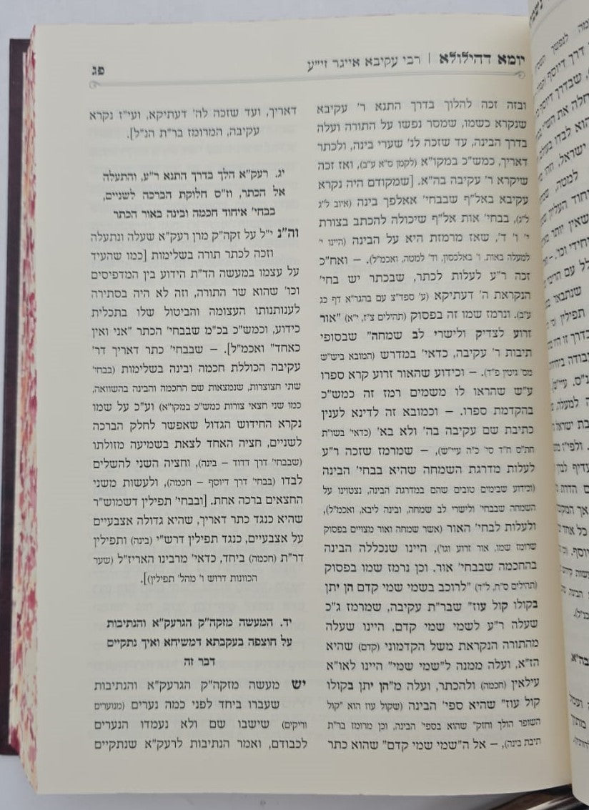 נשמתין חדתין - יומא דהילולא ב' כרכים / הרב י.מ מורגנשטרן