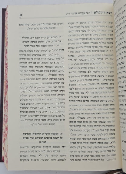 נשמתין חדתין - יומא דהילולא ב' כרכים / הרב י.מ מורגנשטרן