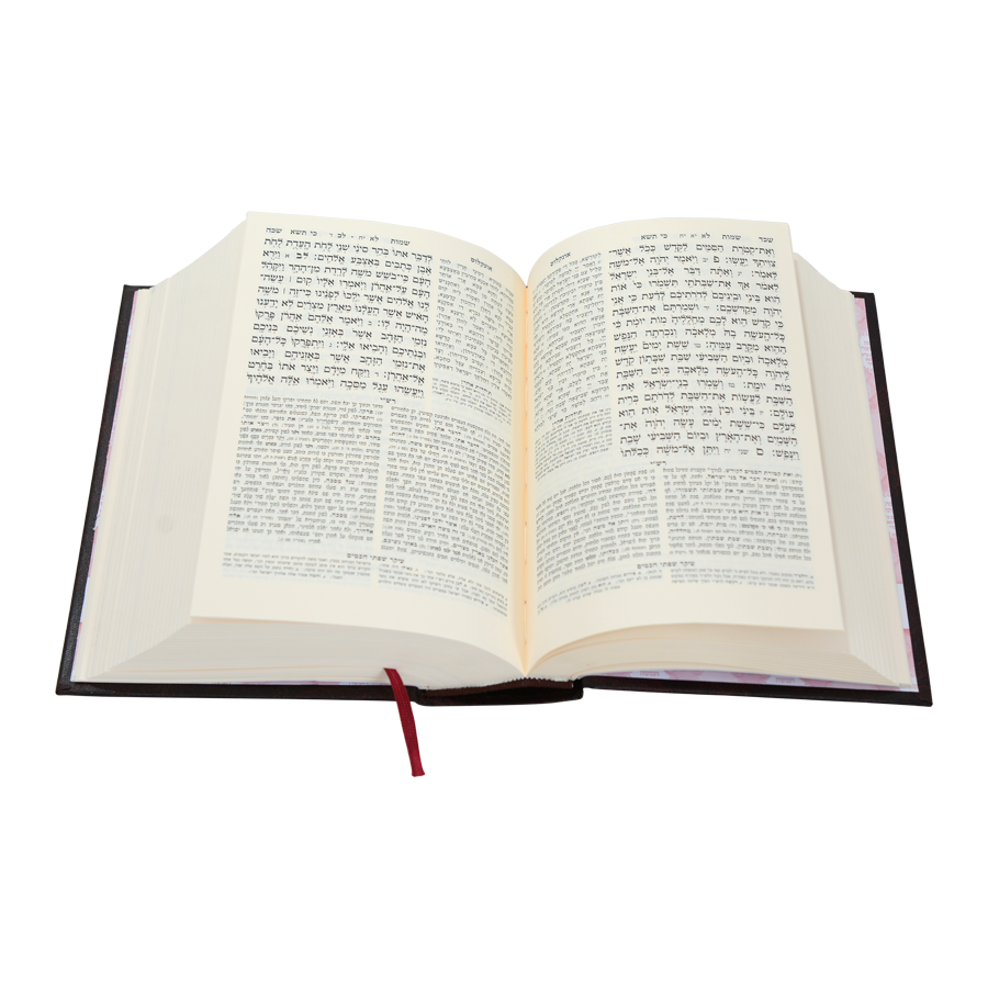חמשה חומשי תורה מהדורת בית כנסת עם תפילות לשבת - נוסח ספרד / עוז והדר