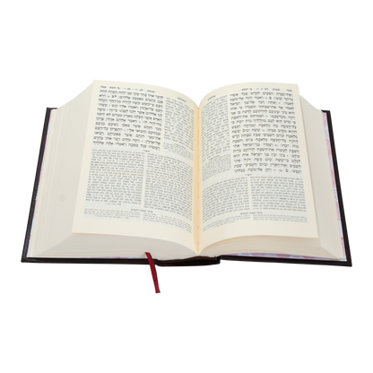 חמשה חומשי תורה מהדורת בית כנסת עם תפילות לשבת - נוסח ספרד / עוז והדר