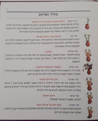 שירה חדשה מתחתנים - שיר השירים חופה וקידושין / מפעל משנה תורה (יוחאי מקבילי)