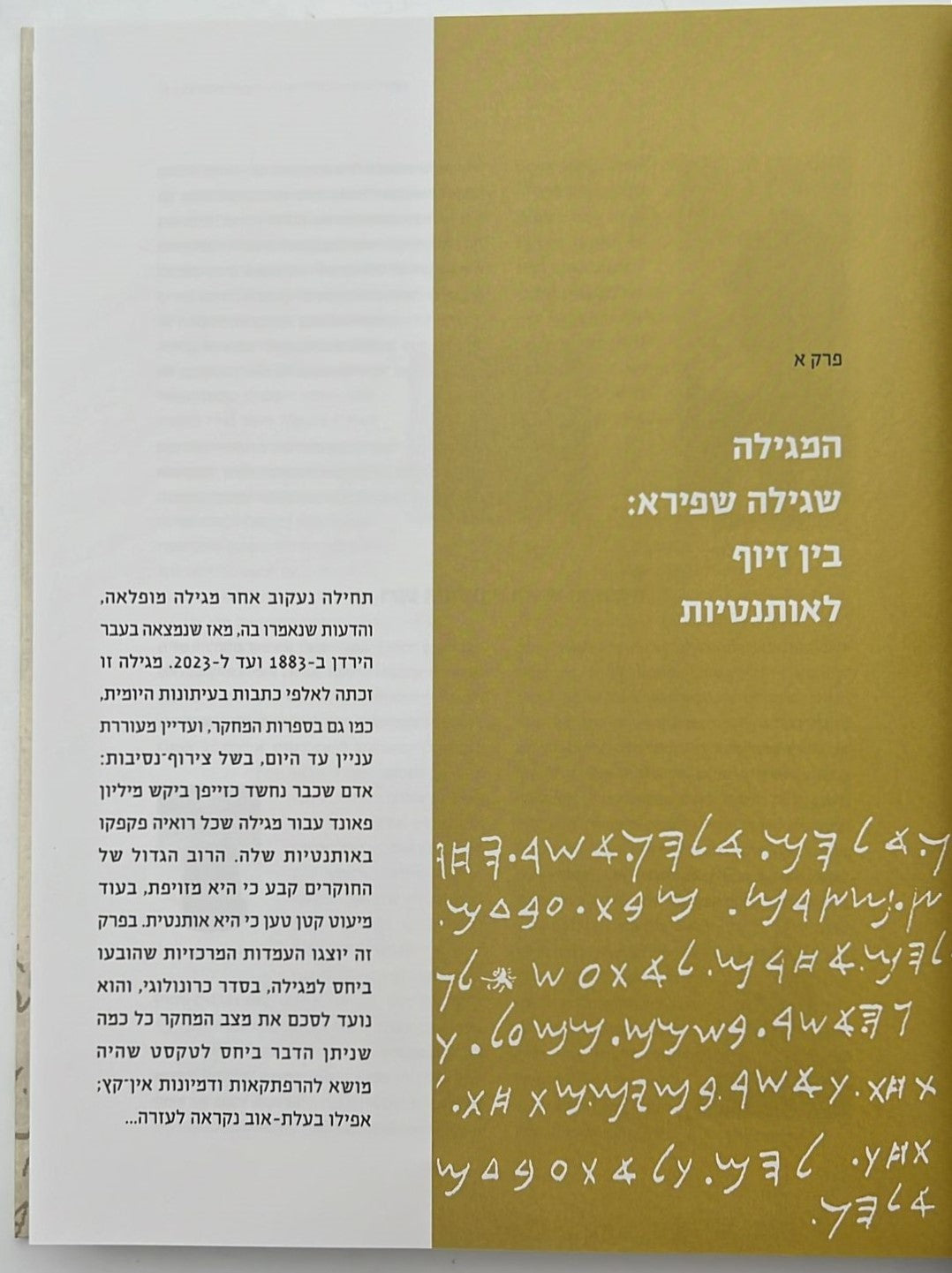 מגילת הזייפן - המגילה שפרסם מוזס וילהלם שפירא ב - 1833 / מאיר בר אילן