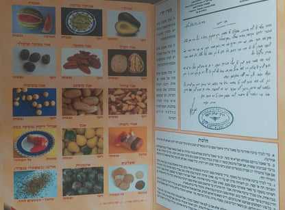 לוח ברכות - ברכה ראשונה וברכה אחרונה / למינציה