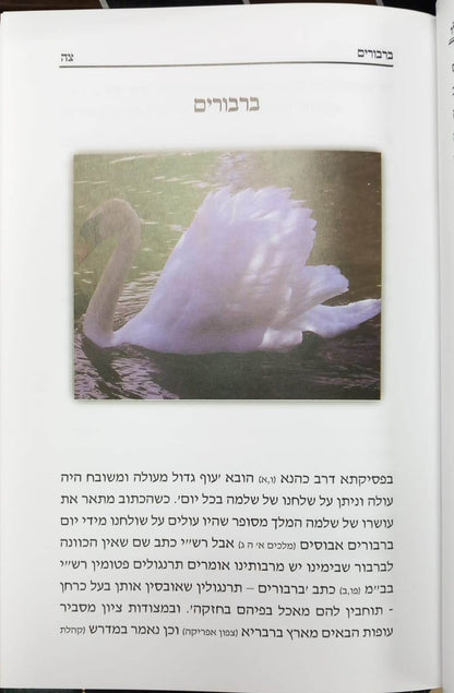 נשמת כל חי - בעלי חיים בדברי חז"ל ראשונים ואחרונים / הרב יחיאל מיכל שטרן