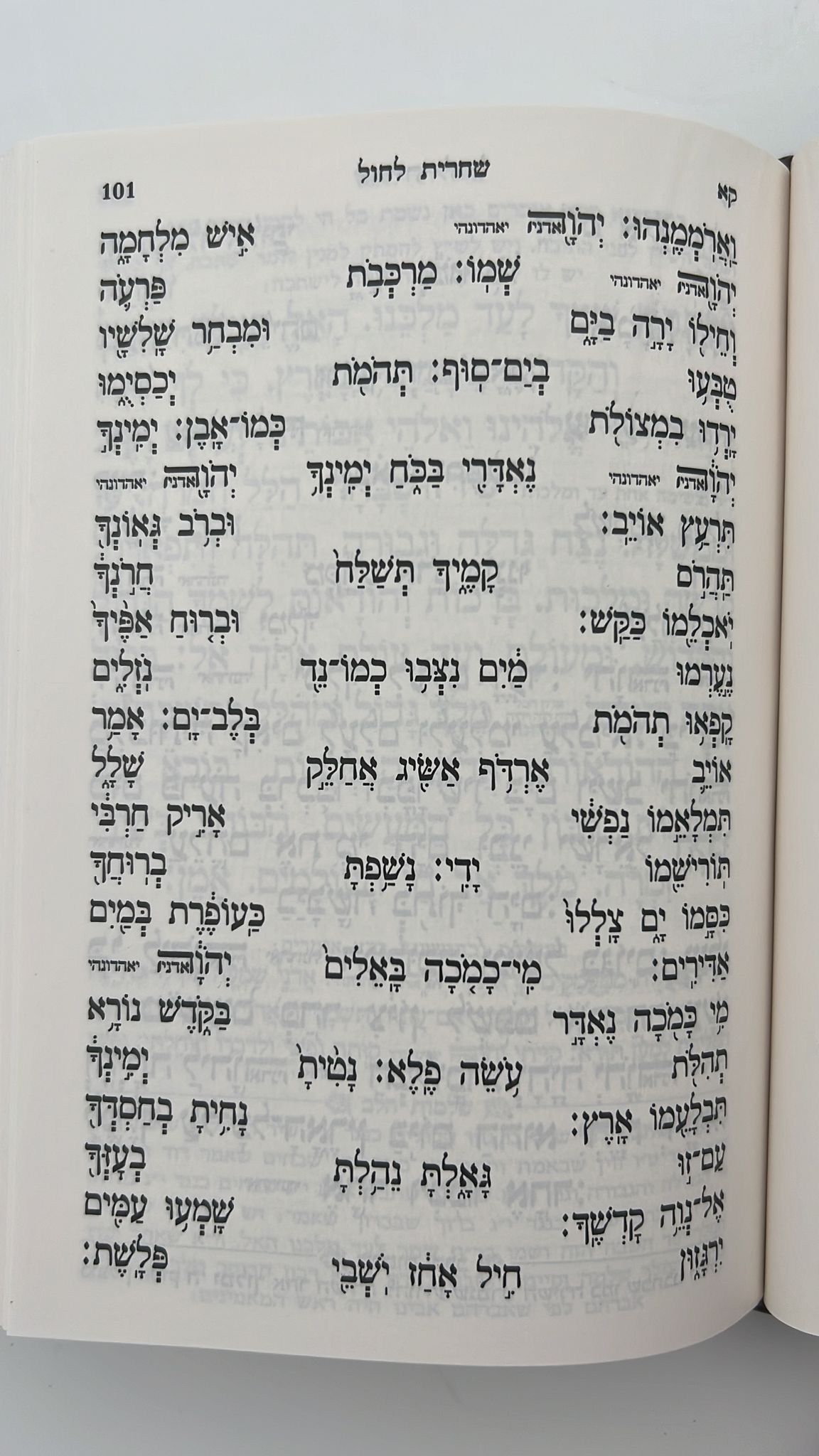 סידור תפילת החודש השלם פורמט בינוני / ספורנו