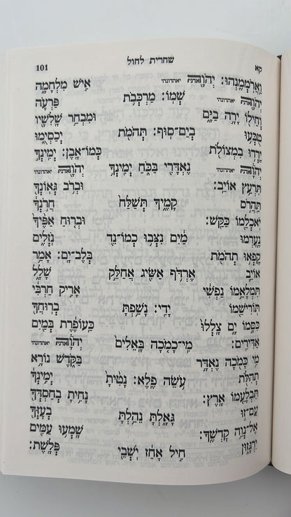 סידור תפילת החודש השלם פורמט בינוני / ספורנו